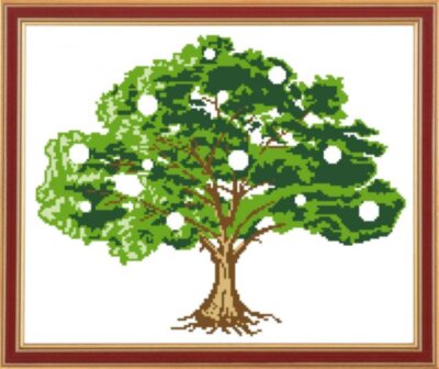 КС-005 Денежное дерево